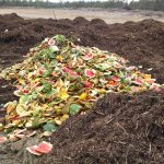 GATORS MAKE GAINS ON WASTE