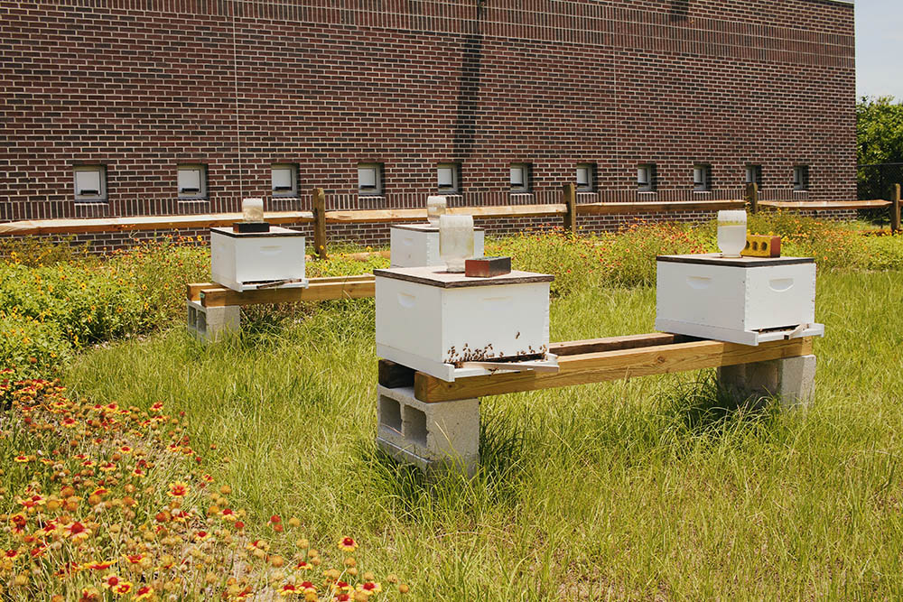 Turning Honey Platinum with LEED Certification